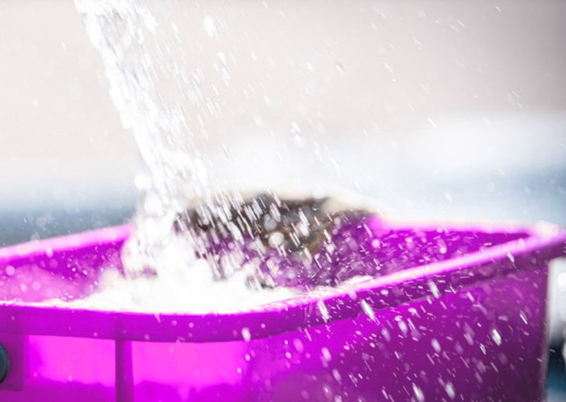 Nettoyage pour particuliers